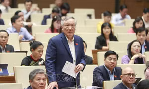 Ngày 21/11, Quốc hội thảo luận các báo cáo và báo cáo thẩm tra lĩnh vực nội chính, pháp luật