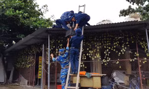 Cảnh sát biển tham gia giúp dân phòng chống bão số 3 tại đảo Bạch Long Vĩ  