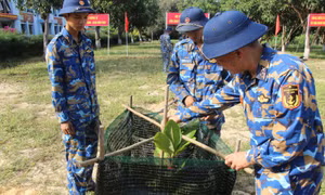 Hải quân tổ chức ‘Tết trồng cây đời đời nhớ ơn Bác Hồ’ năm 2026