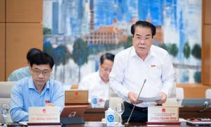 Thường vụ Quốc hội cho ý kiến về báo cáo kết quả giám sát việc giải quyết, trả lời kiến nghị của cử tri