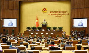 Dấu ấn Kỳ họp không thường lệ thứ Nhất, Quốc hội khóa XVI: Tạo đòn bẩy cho giai đoạn tăng tốc