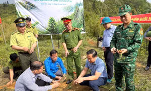 Bộ đội Biên phòng phát động chương trình trồng cây ‘Vành đai biên giới xanh’