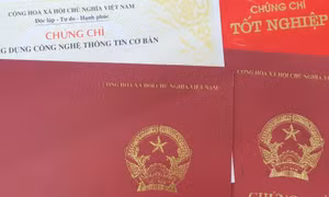 Cắt giảm chứng chỉ bồi dưỡng theo tiêu chuẩn chức danh nghề nghiệp chuyên ngành.