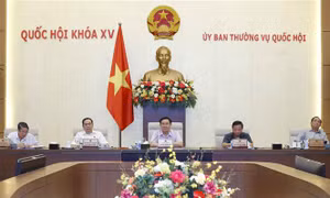Ngăn ngừa doanh nghiệp thâu tóm tần số vô tuyến điện