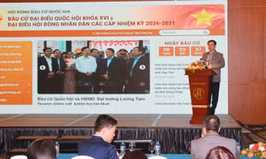 Chuyển đổi số là điểm mới giúp cử tri thuận lợi trong việc theo dõi bầu cử