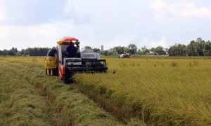 Xây dựng Cần Thơ trở thành trung tâm khoa học – công nghệ về nông nghiệp