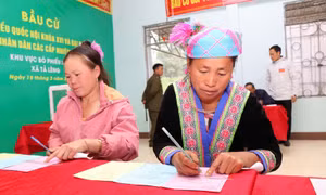 Đến 15h30, cả nước đã có 92,53% cử tri đi bầu cử