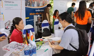 Đông đảo người lao động tìm việc làm tại sàn giao dịch việc làm Thành phố Hồ Chí Minh.