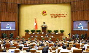 Ngày 16/6, Quốc hội thông qua Nghị quyết về sửa đổi, bổ sung một số điều của Hiến pháp năm 2013