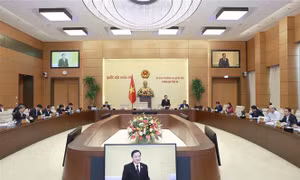 Uỷ ban Thường vụ Quốc hội xem xét, quyết định thành lập một số đơn vị hành chính cấp huyện, cấp xã của các tỉnh An Giang, Bắc Ninh, Bắc Kạn, Bến Tre, Bình Dương, Đắk Lắk, Quảng Nam, Thái Nguyên, Trà Vinh, Vĩnh Phúc