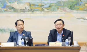 Chính phủ tiếp tục rà soát, cập nhật trong quá trình lập, thẩm định quy hoạch