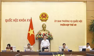Khai mạc Phiên họp thứ 49 của Ủy ban Thường vụ Quốc hội