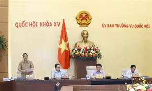 'Bảo hiểm xã hội nên tham gia đấu thầu thuốc để giảm tải cho ngành Y tế'