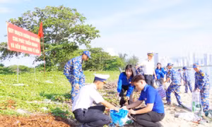 Sôi nổi các hoạt động hưởng ứng Tuần lễ Biển và Hải đảo Việt Nam 