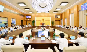 Thủ tướng phân công trình bày, tiếp thu một số dự án luật tại Phiên họp 38 UBTVQH