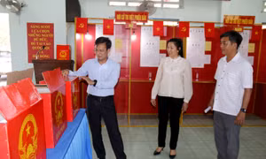 Những ai được lựa chọn tham gia các tổ bầu cử