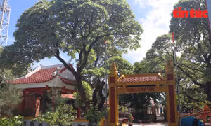 Bóng chùa trên đảo Trường Sa