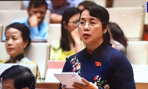 Cần có danh mục nghề và lộ trình tăng tuổi nghỉ hưu