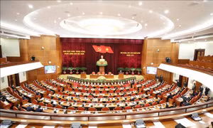 Cương lĩnh năm 2011 đã có sự phát triển cả về mặt lý luận và thực tiễn