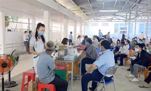 Những chỉ đạo, điều hành của Chính phủ, Thủ tướng Chính phủ nổi bật tuần từ 25-29/7