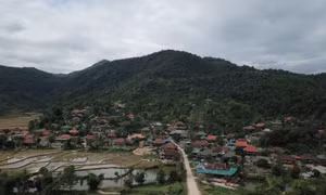 Quy trình giám sát Chương trình mục tiêu quốc gia