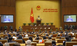 Số vụ án tăng nên một số chỉ tiêu ngành kiểm sát khó đạt