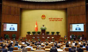 Quốc hội thảo luận tổ về kết quả thực hiện kế hoạch phát triển kinh tế xã hội năm 2025
