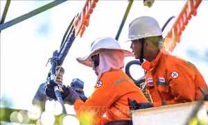 EVN phải tập trung nghiên cứu, thực hiện đồng bộ các giải pháp về cung ứng điện