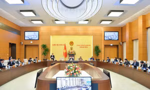 Bổ sung việc bảo vệ quyền lợi của người tiêu dùng là người nghèo