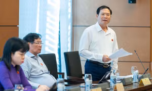 Tổng tham mưu trưởng Quân đội nhân dân Việt Nam, Thứ trưởng Bộ Quốc phòng Nguyễn Tân Cương phát biểu tại phiên thảo luận ở tổ chiều 1/11