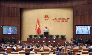 Ngày 30/10, Quốc hội tiếp tục thảo luận về kế hoạch cơ cấu lại nền kinh tế và quy hoạch sử dụng đất quốc gia