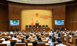 Việc sửa đổi, bổ sung một số điều của 9 luật về quân sự, quốc phòng là cần thiết