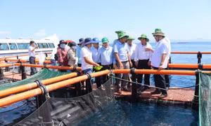 Tiến tới Đại hội XIV của Đảng: Những Nghị quyết mang tính đột phá chiến lược