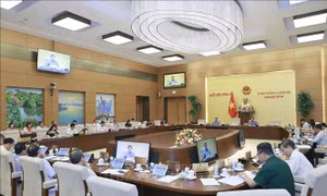 Thông tin phá rừng dự án hồ chứa nước Ka Pét là không chính xác, không đúng sự thật 