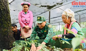Bộ đội biên phòng, cầu nối đưa chính sách dân tộc vào cuộc sống nơi biên cươngg