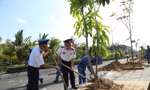Cán bộ, chiến sỹ BTL Vùng CSB4 tổ chức trồng cây trong khuôn viên doanh trại