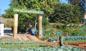 Bộ đội Biên phòng Gia Lai tham gia xây dựng nông thôn mới