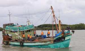 Bắt giữ tàu cá đánh bắt hải sản trái quy định IUU trên vùng biển Tây Nam