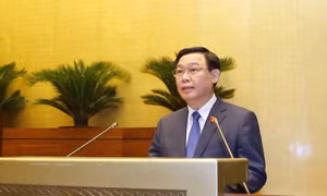 Toàn văn bài phát biểu nhậm chức của Chủ tịch Quốc hội Vương Đình Huệ