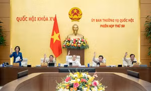 Bộ trưởng Phạm Thị Thanh Trà: Bộ Nội vụ tập trung hoàn thiện đề án về phân loại đơn vị hành chính
