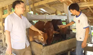  Những tấm gương bình dị góp phần kiến tạo 'đời sống mới'