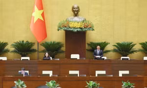 Quốc hội thảo luận Luật sửa đổi, bổ sung một số điều của 10 luật có liên quan đến nông nghiệp và môi trường