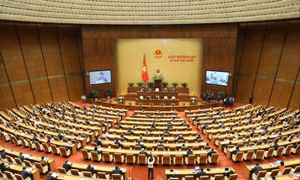 Tin nổi bật trong ngày 20/10