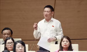 Chủ hộ kinh doanh cũng là người lao động, có thu nhập nhưng không được tham gia BHXH bắt buộc