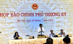 Số doanh nghiệp đăng ký mới tháng 6/2025 đạt gần 24.400 doanh nghiệp