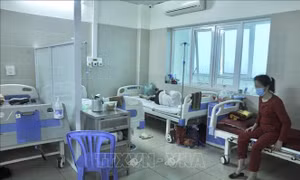 Nóng trong tuần: Theo dõi sát tình hình dịch COVID-19 để có ứng phó kịp thời