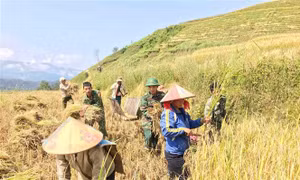 Vai trò của bộ đội biên phòng trong củng cố chính trị cơ sở, phát triển dân tộc La Hủ