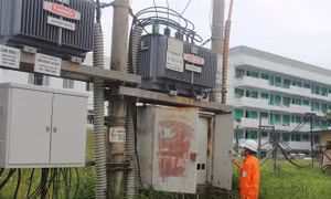 Những lĩnh vực nào được tiếp tục hoạt động trong giai đoạn giãn cách xã hội?