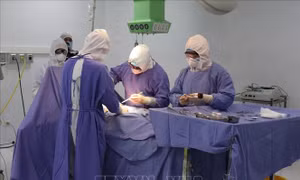 Ngày 13/4, Việt Nam thêm 5 ca mới mắc dịch COVID-19; tuyệt đối không thể chủ quan, mất cảnh giác 