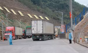 Ưu tiên công tác phòng, chống dịch COVID-19 trong hoạt động sản xuất, xuất nhập khẩu hàng hóa